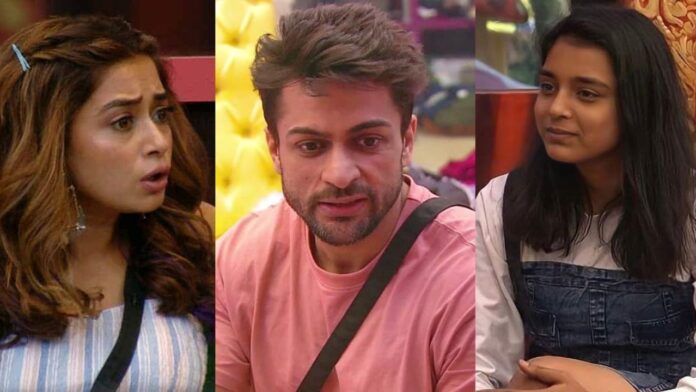 Bigg Boss 16: Tina Datta Slams Sumbul Touqeer's 'Possessiveness' Over Shalin Bhanot