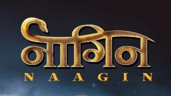 Naagin Season 7: Release Date, Plot & Latest Updates - January 2025