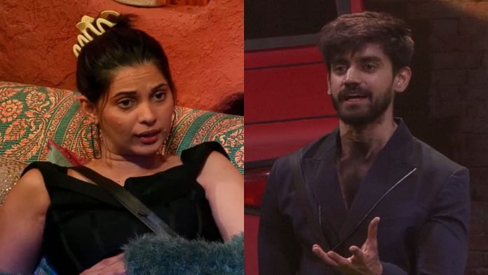 Bigg Boss 18: Avinash Mishra Unleashes on Alice Kaushik's Birthday!