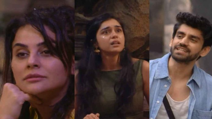 Bigg Boss 18 Nov 7 Update: Sara Arfeen Khan's Explosive Fight with Eisha Singh