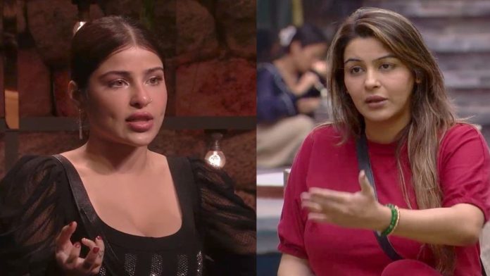 Bigg Boss 18: Wildcards Edin Rose & Yamini Malhotra Form Alliance - Housemates in Trouble?