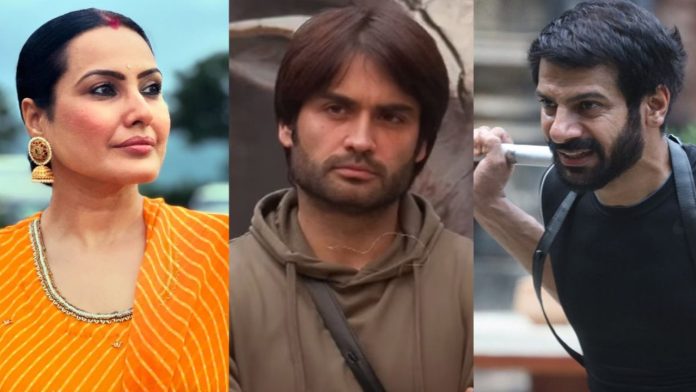 Kamya Panjabi Slams Vivian Dsena and Karan Veer Mehra for Junior Artist Remark