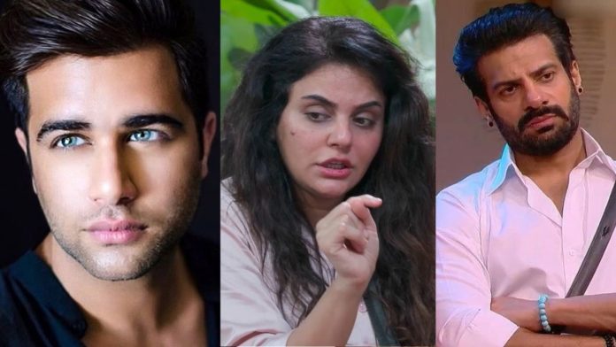 Bigg Boss 18: Rajiv Adatia Calls Out Sara Arfeen Khan for Aggressive Behavior