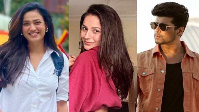 Happy New Year 2025: TV Celebs Wish Fans on Fresh Beginnings