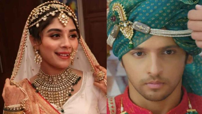 Anupamaa Fans Disappointed with Rahi-Prem Wedding Twist: Here's Why